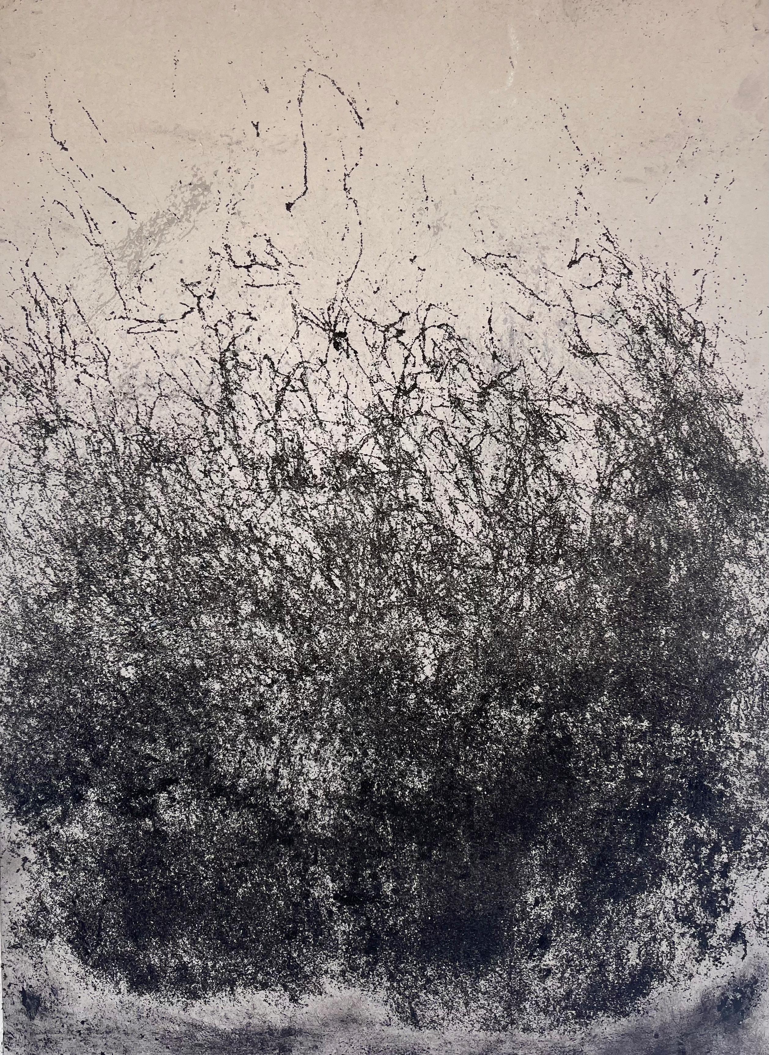 Landscape BW-Etna- Original Conceptual Art By Marilina Marchica 1