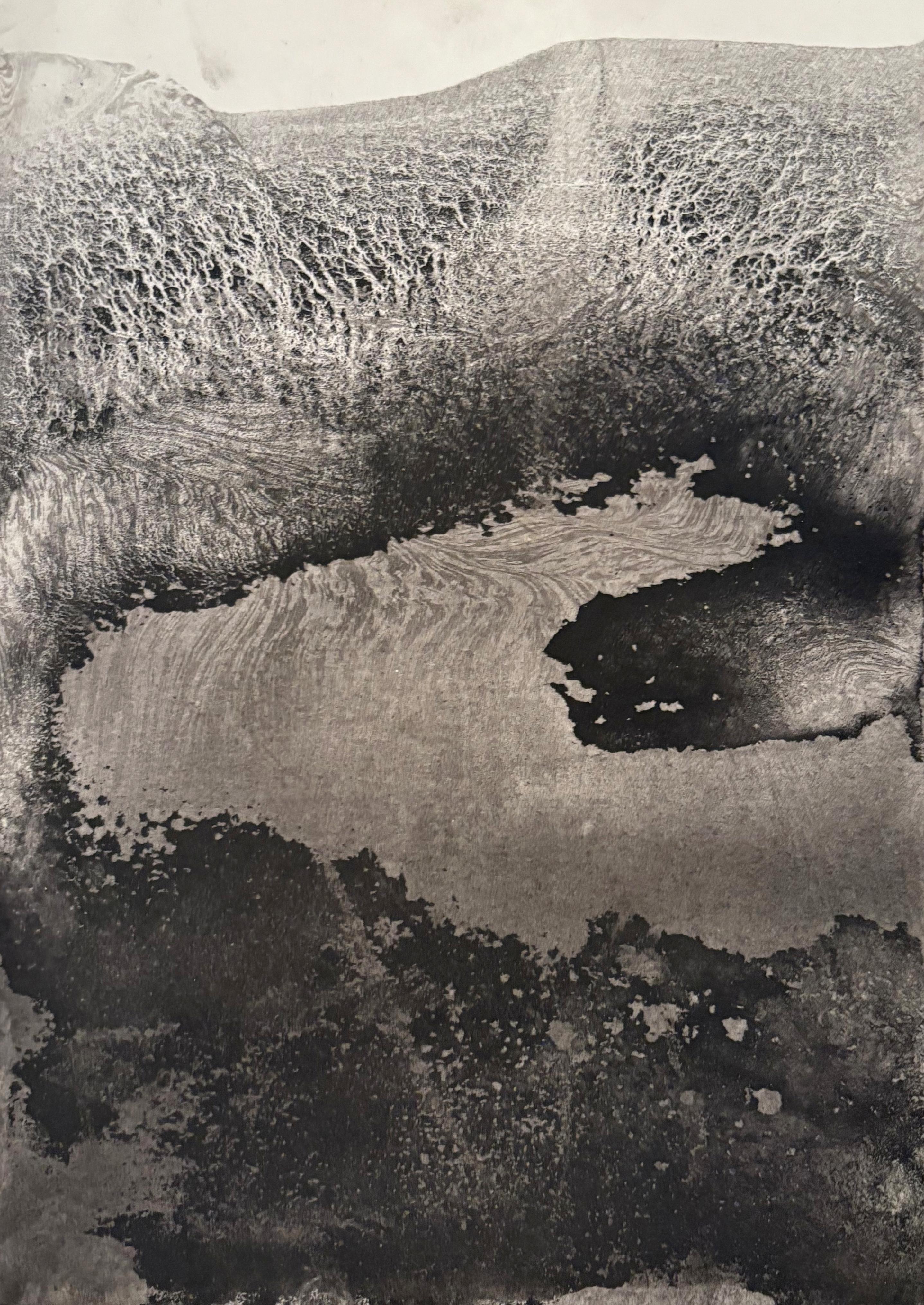 Landschaft BW - Original-Zeichnung in reinem Pigment auf Papier Made in Italy (Zeitgenössisch), Painting, von Marilina Marchica