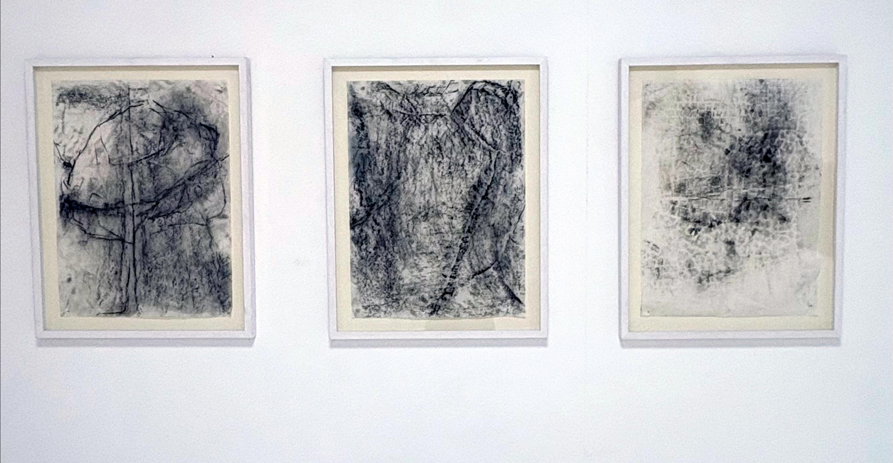 Fragments – Triptych of Abstract Drawings on Vellum Paper (Framed ) For Sale 9