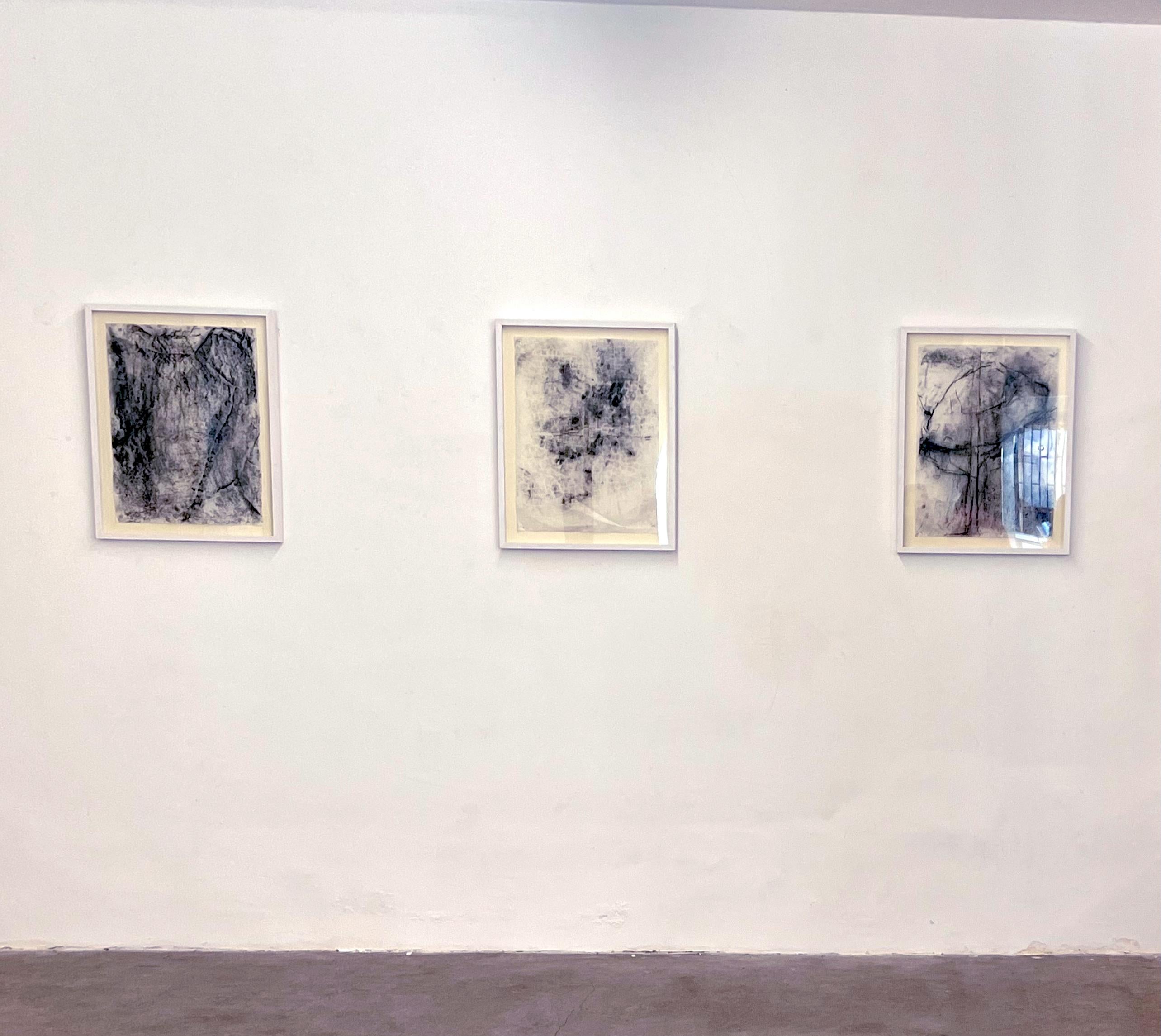Fragments – Triptych of Abstract Drawings on Vellum Paper (Framed ) For Sale 11