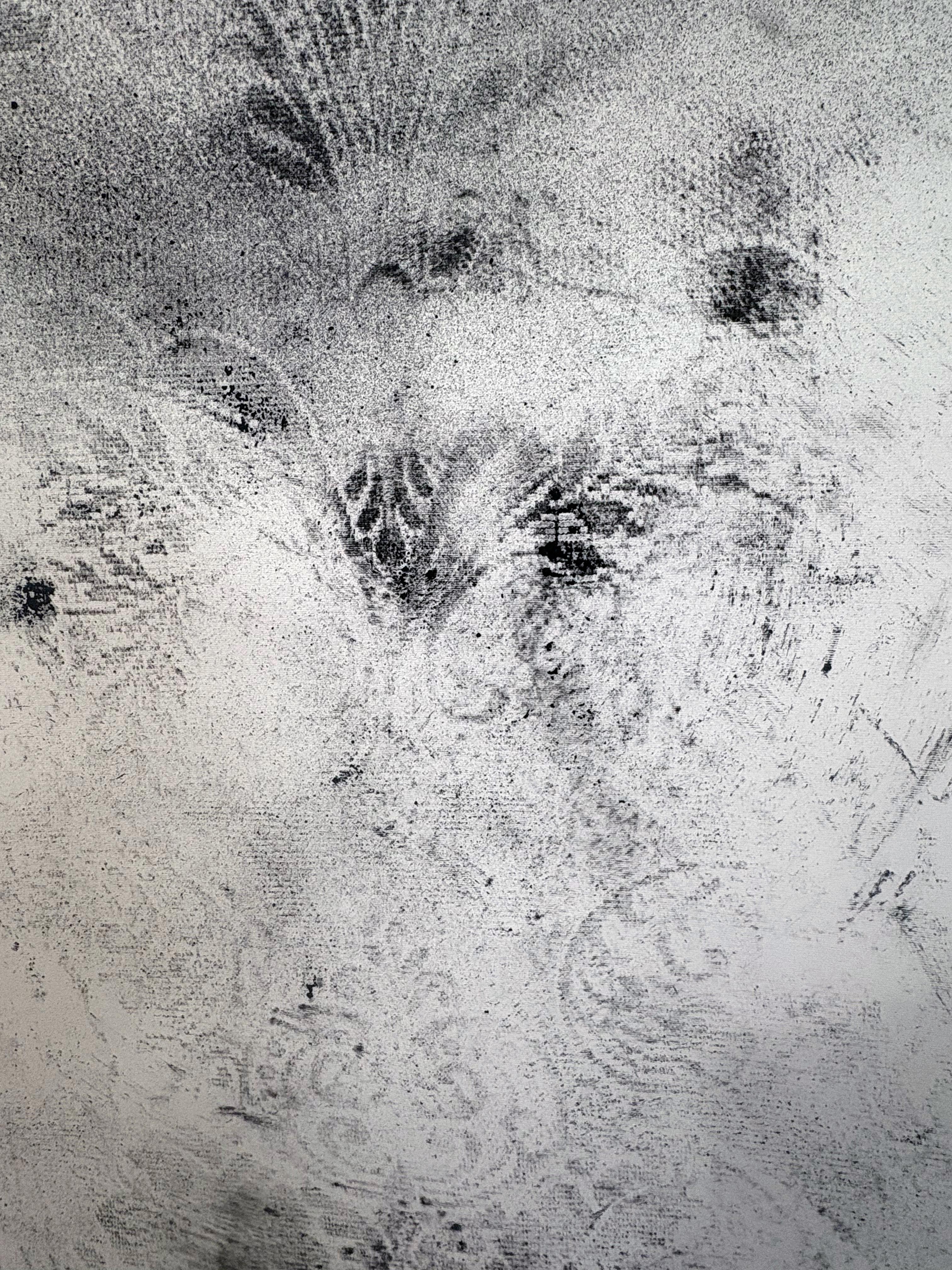 Frammento, Zeichnung - Vintage Interieur Muster abstrakte Zeichnung große Größe (Grau), Interior Art, von Marilina Marchica