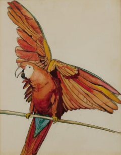 Parrot, 20th Century Watercolor by New York Female Artist
