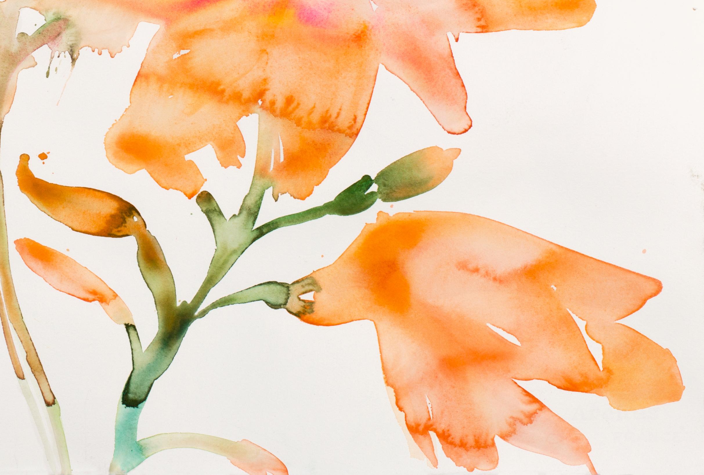 Orange Flowers - Art by Kim McCarty