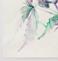 Untitled (Plant)
