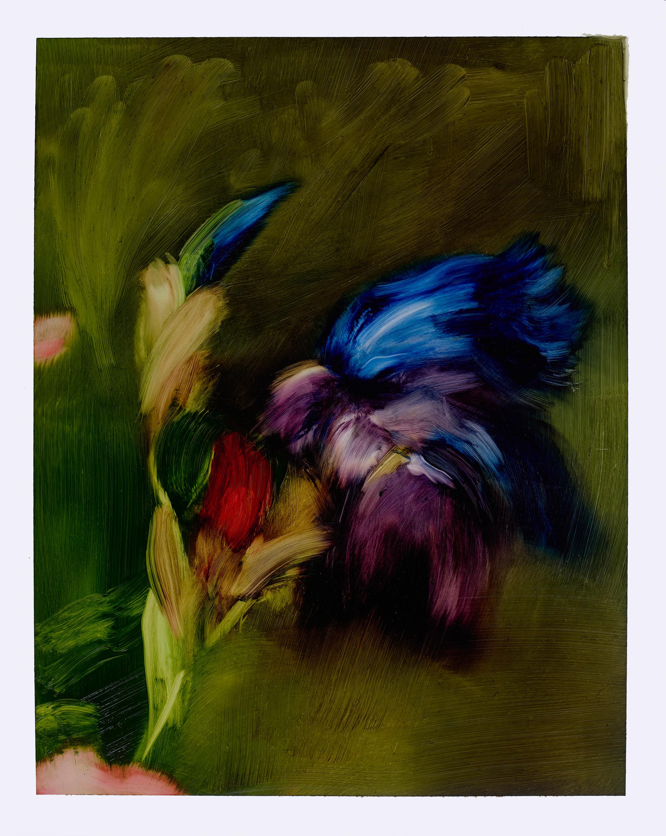 Elise Ansel Abstract Drawing - "Iris and Poppies V, " gestural painting, abstracted floral composition