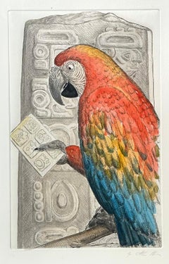 Scarlet Macaw, Honduras