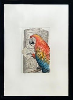 Scarlet Macaw, Honduras