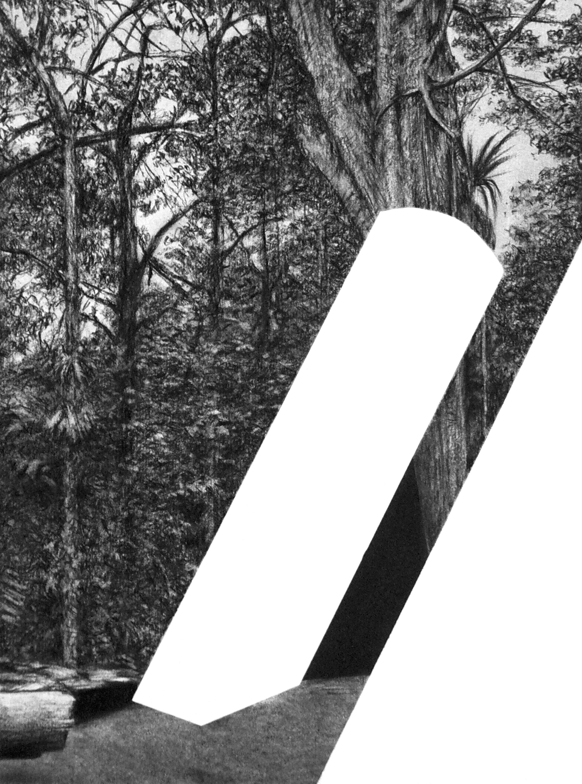 Aires (series) - Drawing, Charcoal on paper, Landscape, Forest