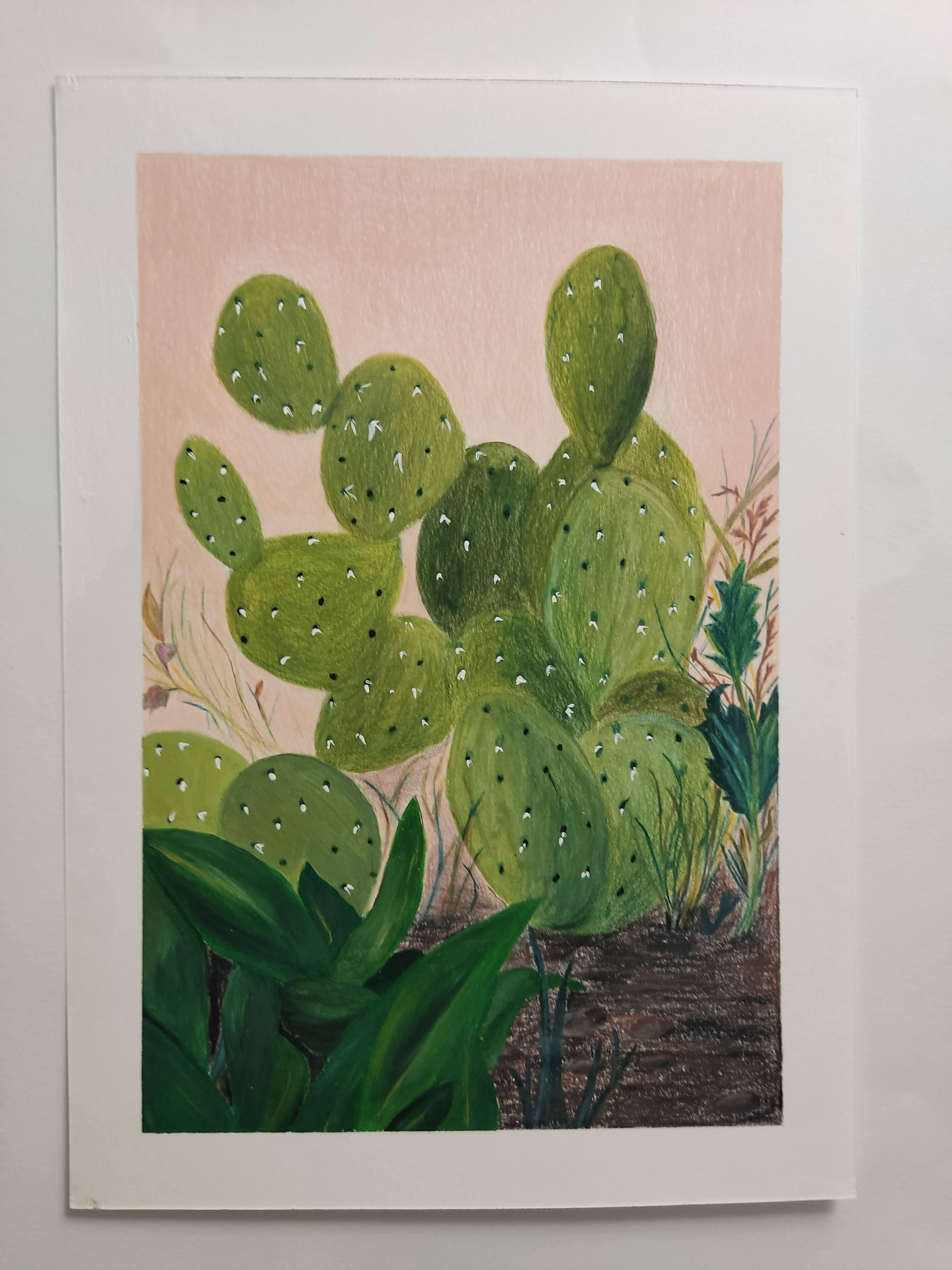 cactus landscape drawing