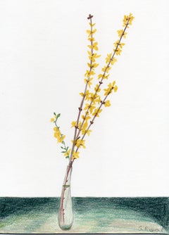 Forsythia with Vase - Colored Pencils, Flowers