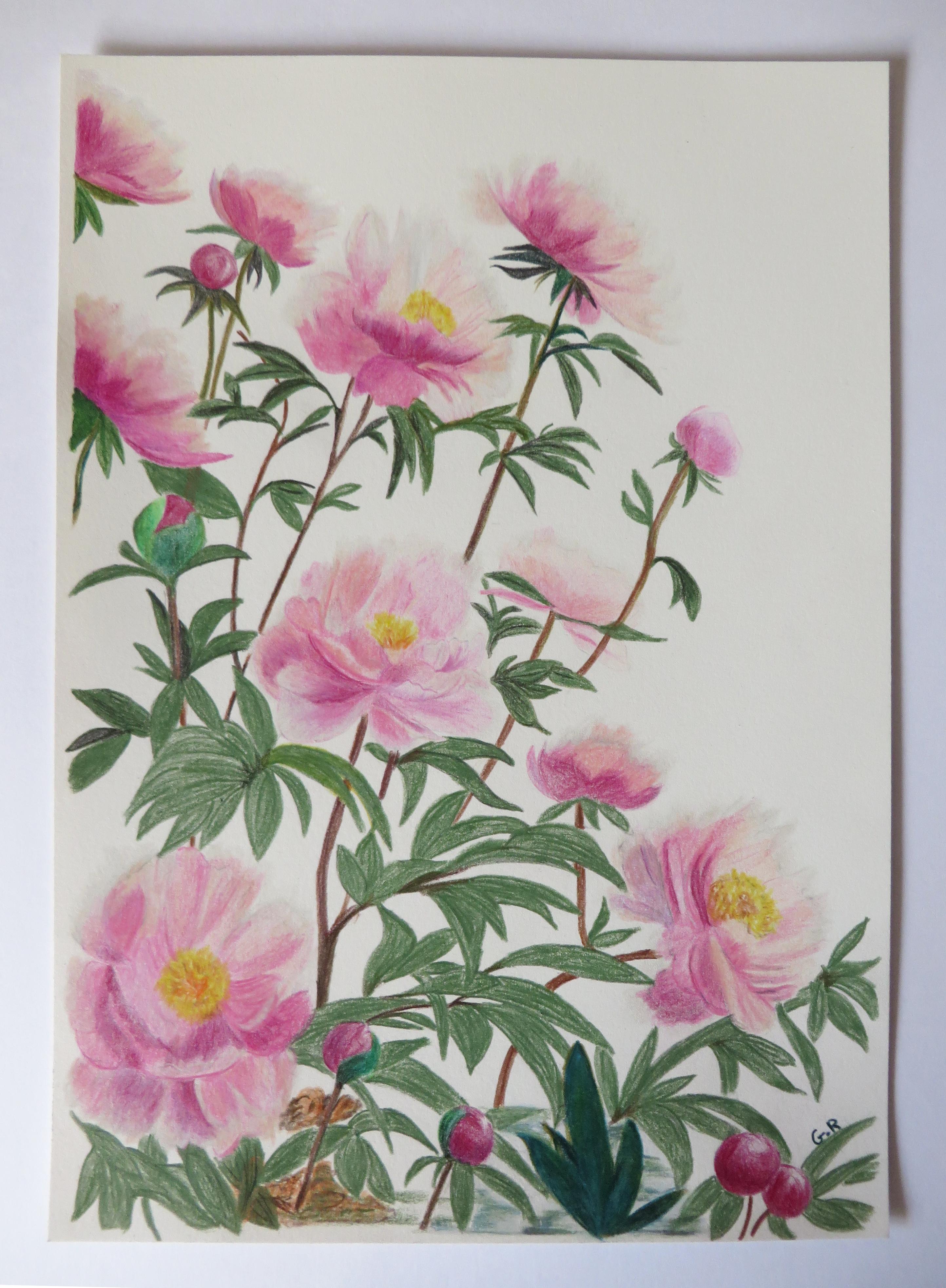 Jardin Imprévu Pivoines, Original Drawing, Flowers, Peonies, Garden - Beige Still-Life by Gabriel Riesnert