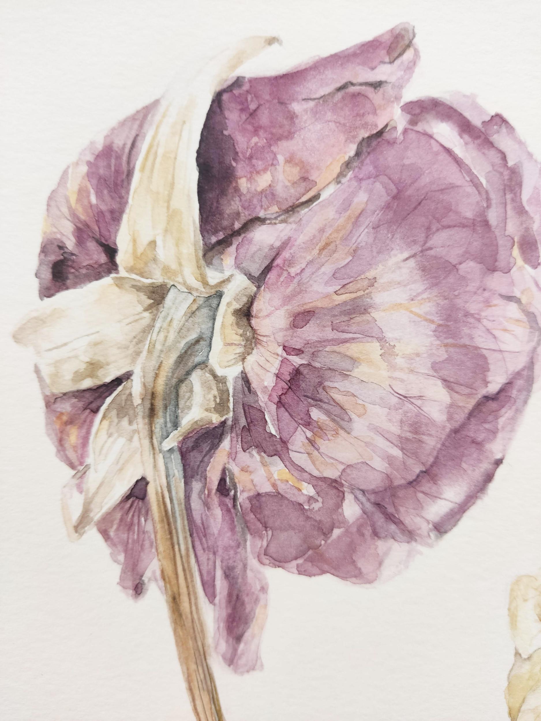Futile, Pittura ad acquerello originale contemporanea, Rose, Fiori - Art di Deniz Bayav