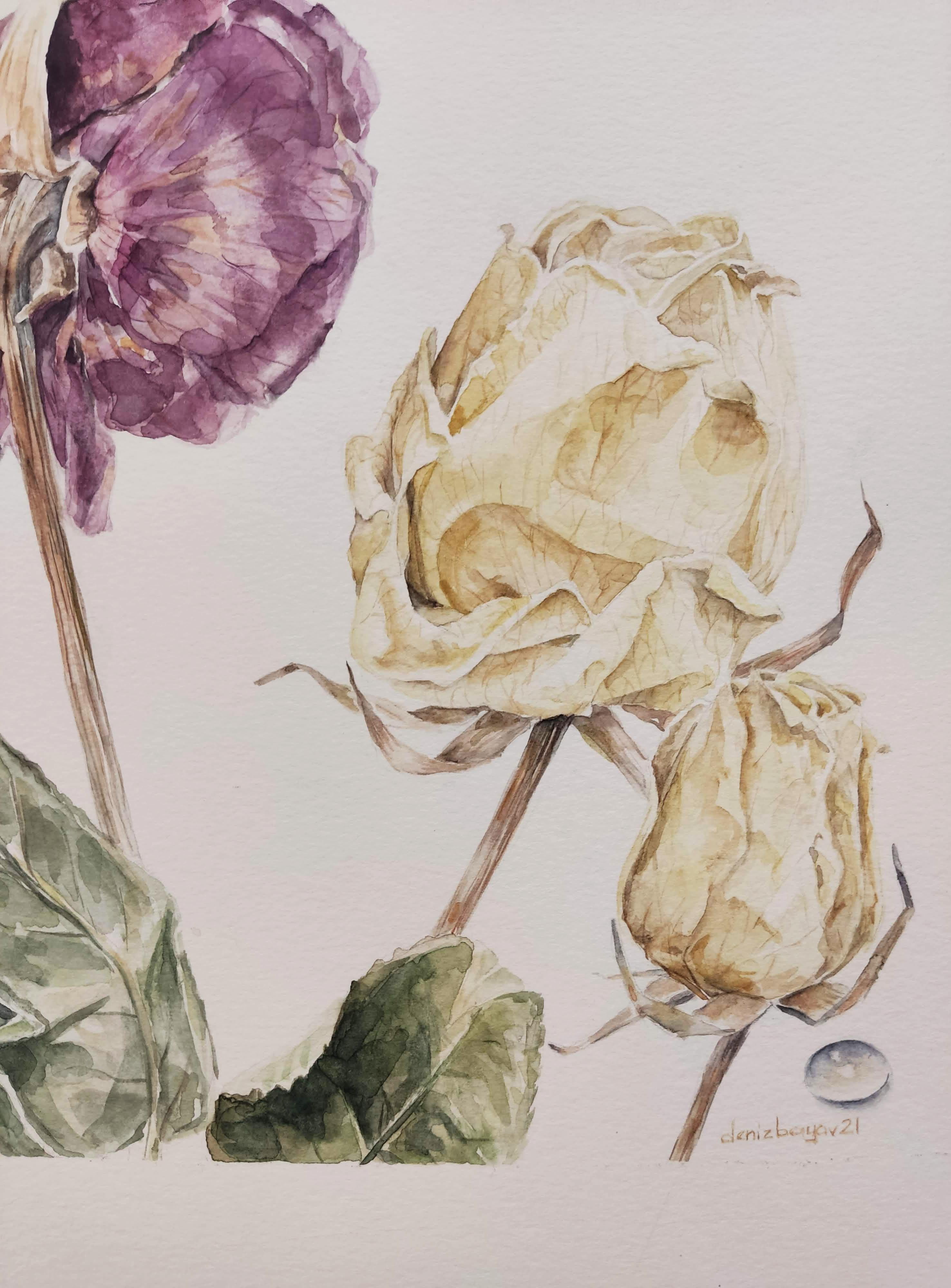 Futile, Pittura ad acquerello originale contemporanea, Rose, Fiori - Still-Life Beige di Deniz Bayav