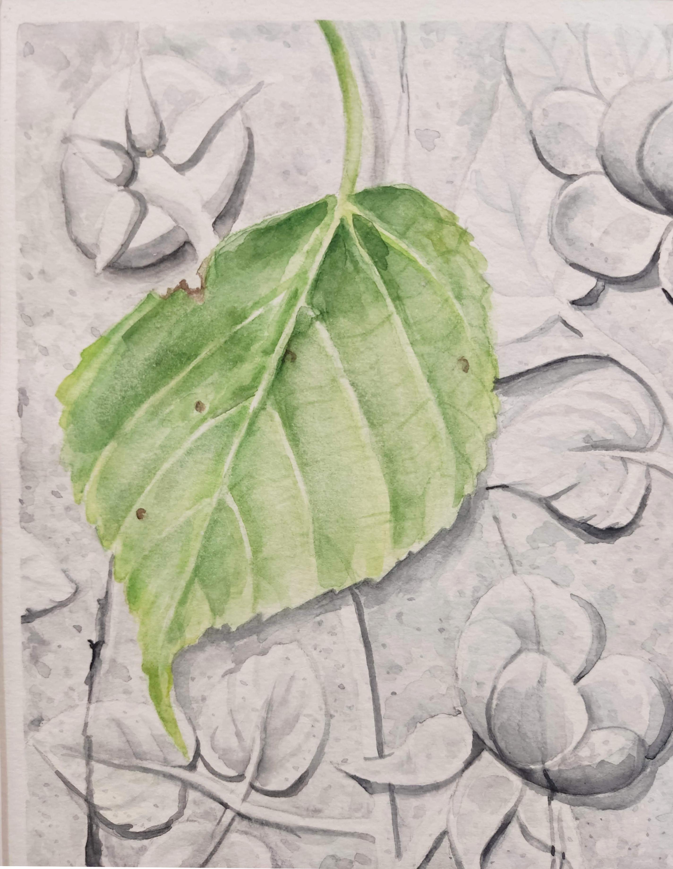 Work :  Original Watercolor Painting, Unique Work. Handmade artwork. Ready to Hang.
Medium : Watercolor on Archival Fine Art paper
Artist : Deniz Bayav
Subject : Im_mortelle (Title) 

In this subtle watercolor, Deniz Bayav sets a poignant contrast