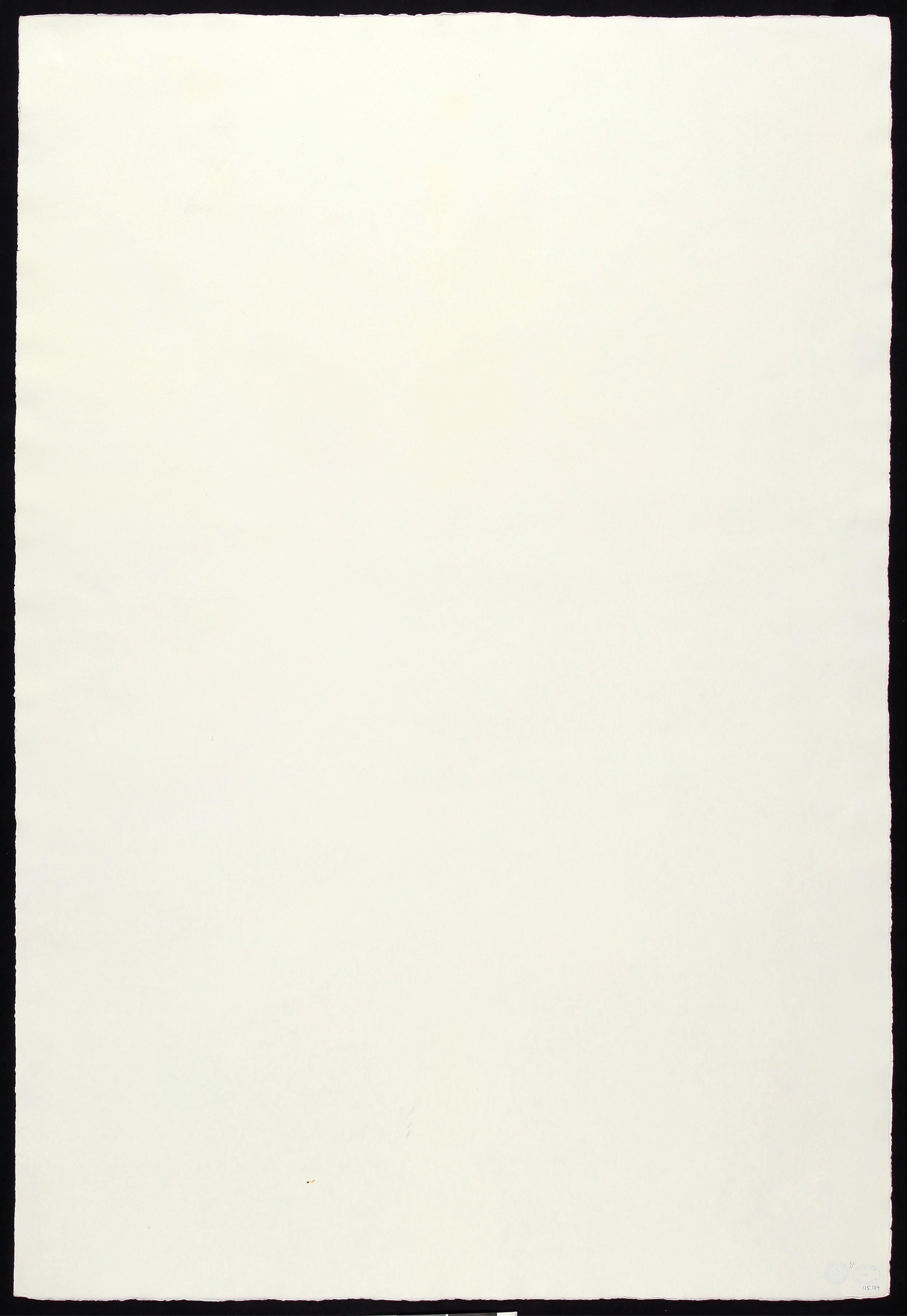 Michael Heizer - White Portrait by Andy Warhol