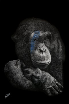 Pan (monkey), pencil drawing, 2022, hyperrealism, 4'3'', French artist SKIMA