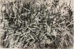 Disegno del frassino #5