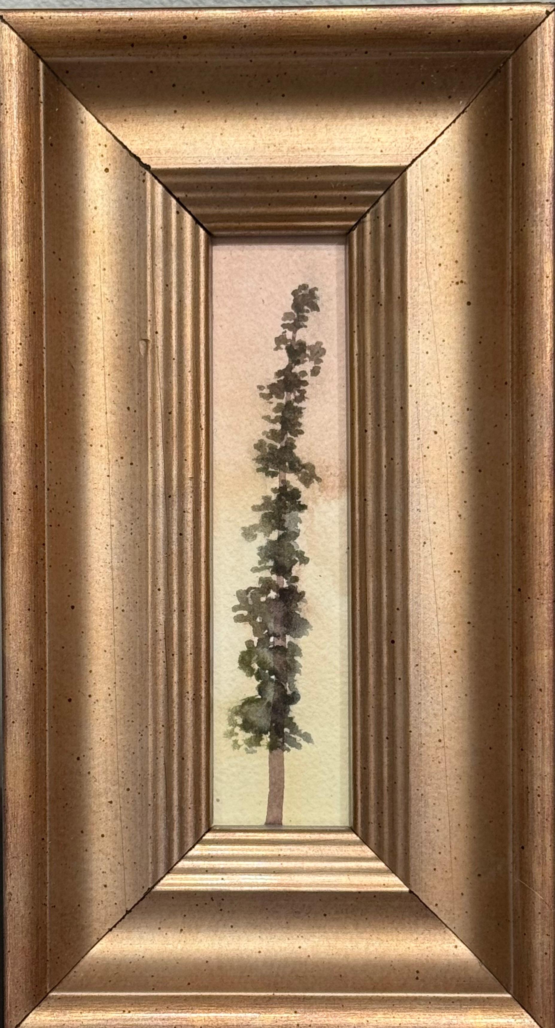 146
