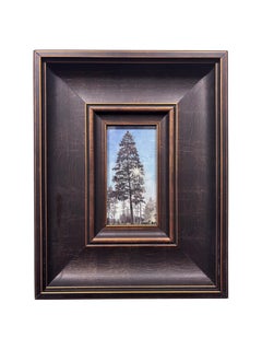 Behind the Pines