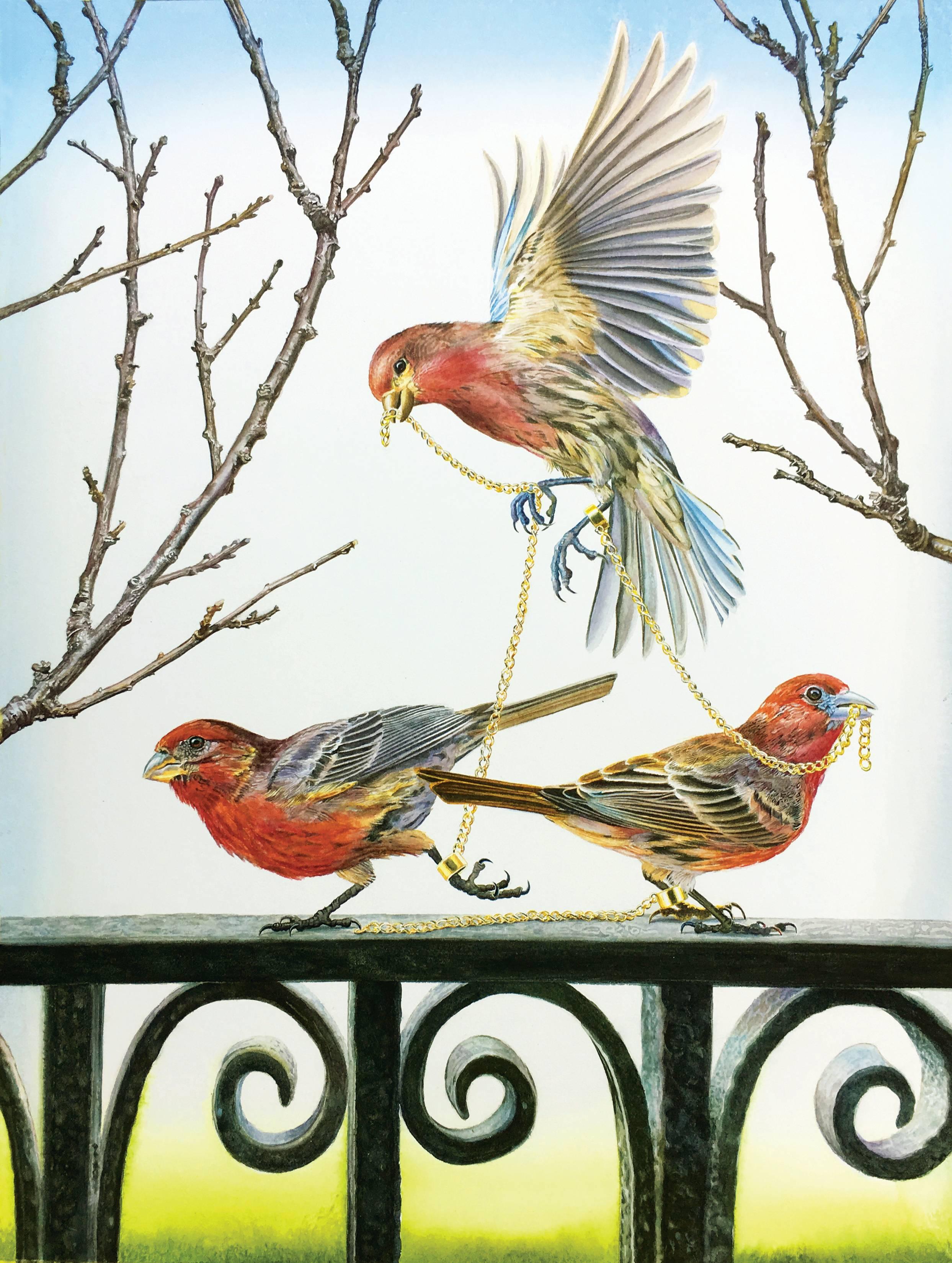 Finches (Framed)