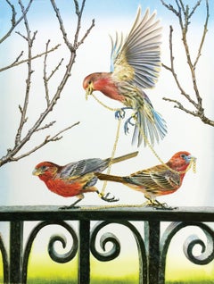 Finches (Framed)