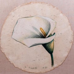 "White Calla Lily" Lowell Nesbitt, Modernist Floral Still Life