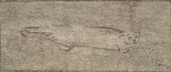 "Wildlife of Ireland" Morris Graves, Drawing of Beaver 1959 Work on Paper