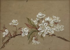 "Kirschblüte" Emily Cole, frühe amerikanische Künstlerin, Botanische Malerei