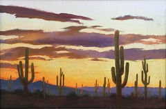 "Arizona Sunset"