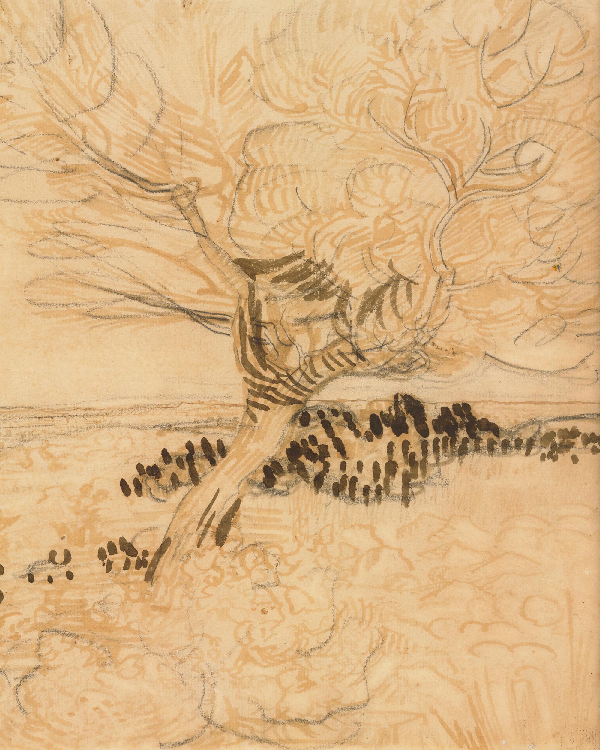 View of La Crau with Tree in the Foreground by Vincent van Gogh 2