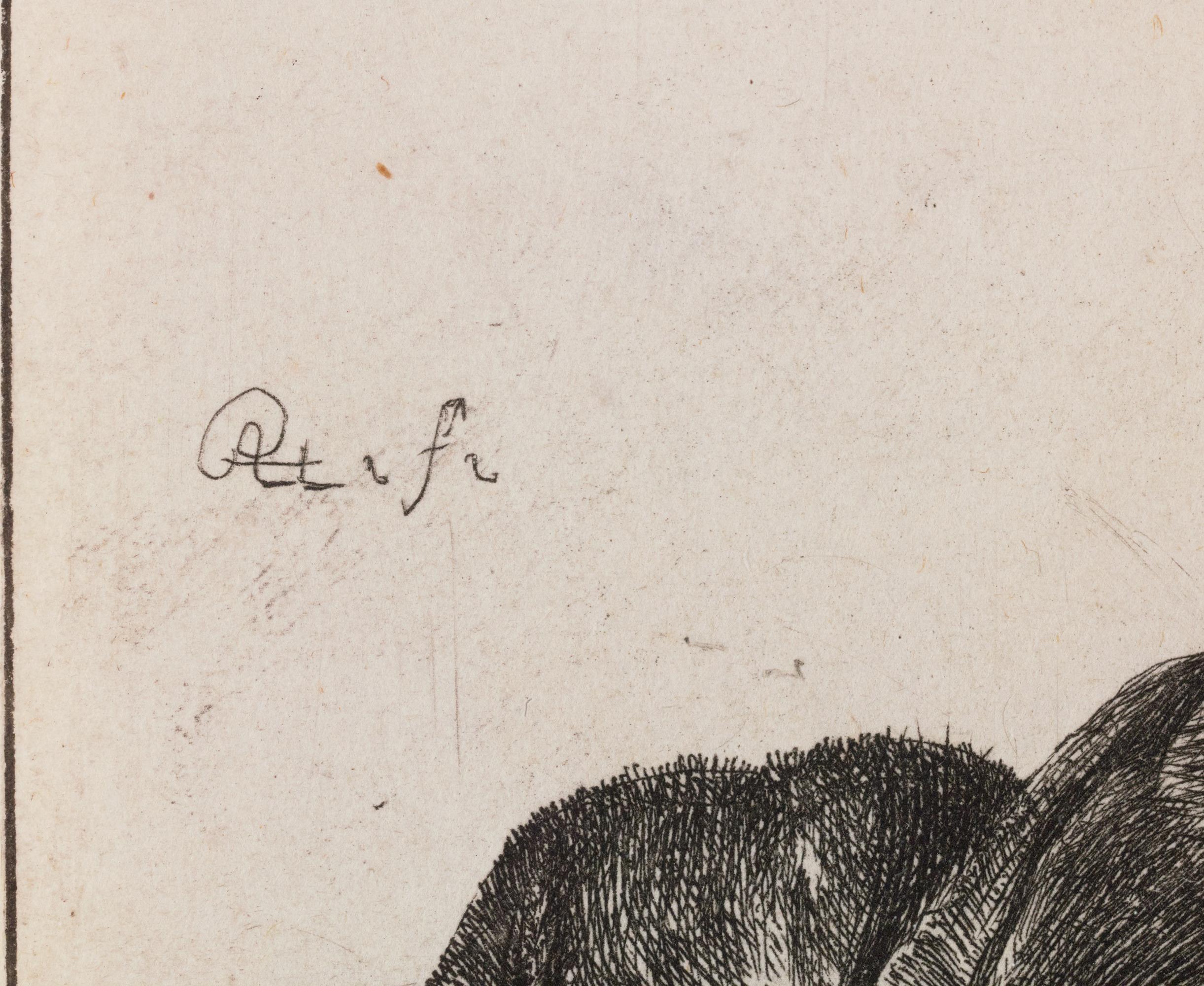 Vecchio con barba, berretto di pelliccia e mantello di velluto di Rembrandt van Rijn in vendita 3