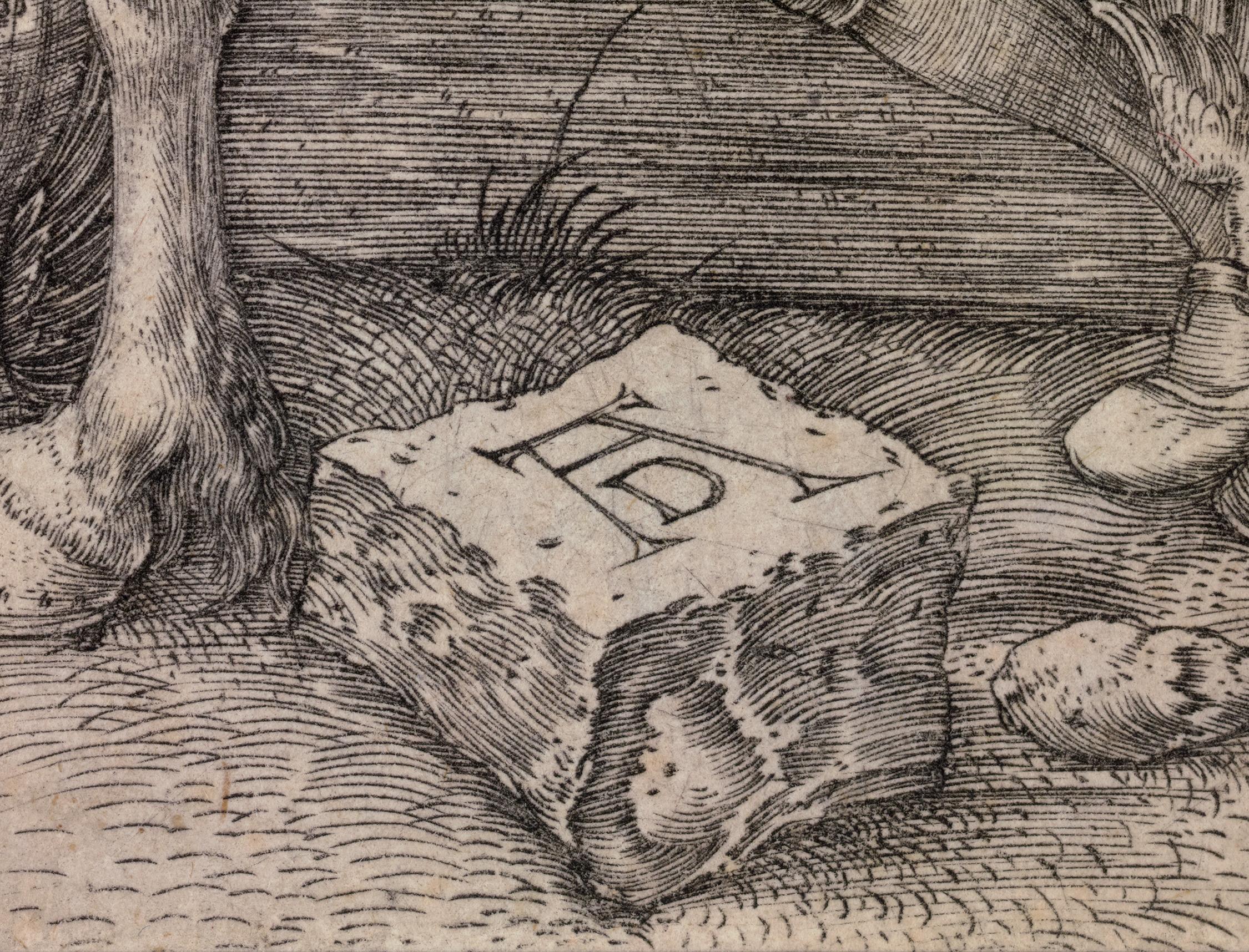 Das kleine Pferd von Albrecht Dürer im Angebot 4