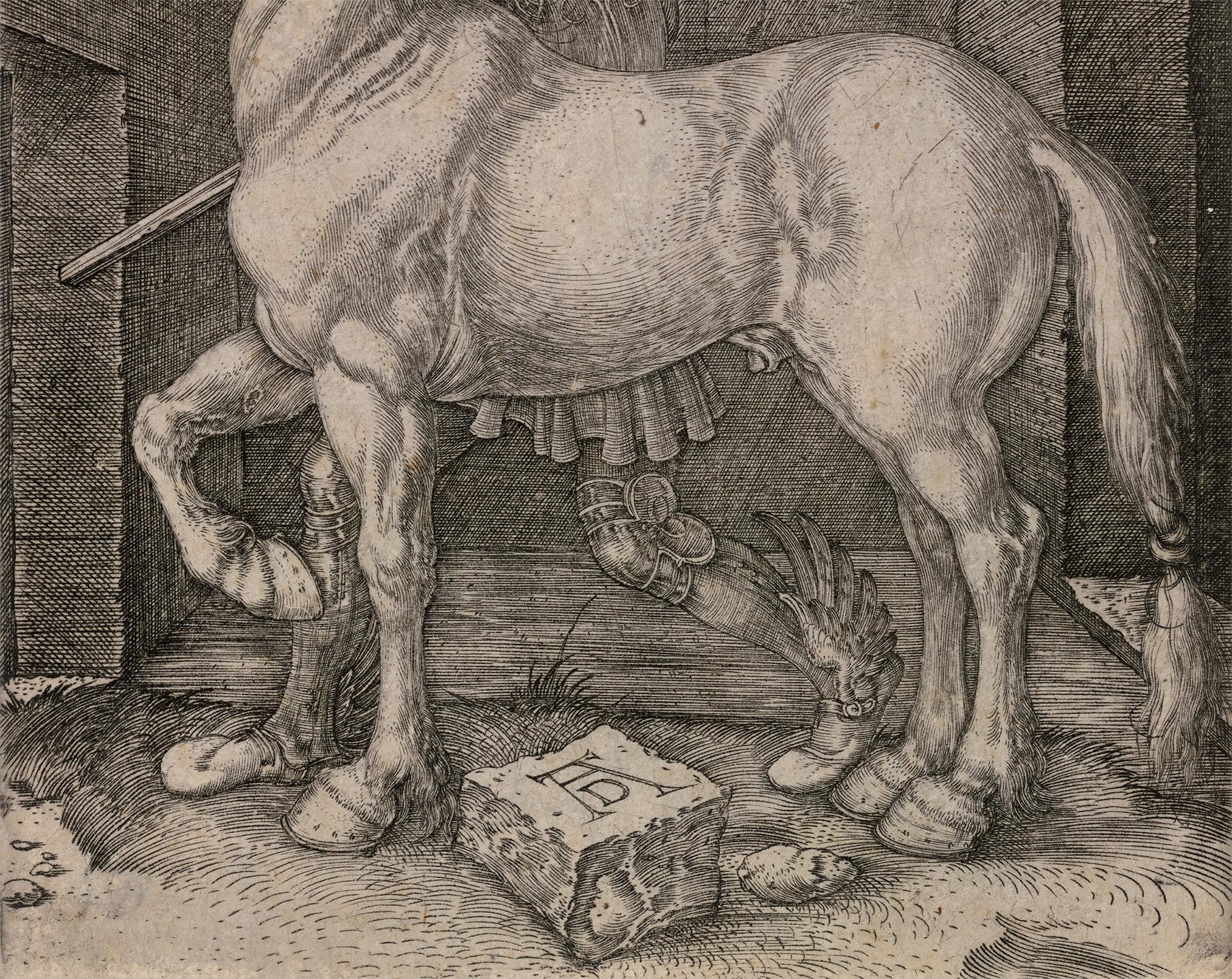 Das kleine Pferd von Albrecht Dürer im Angebot 2