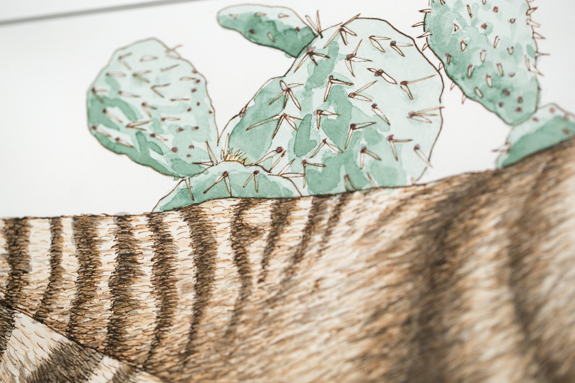 Thylacines with Prickly Pear Cacti - Brown Animal Art by Emily White