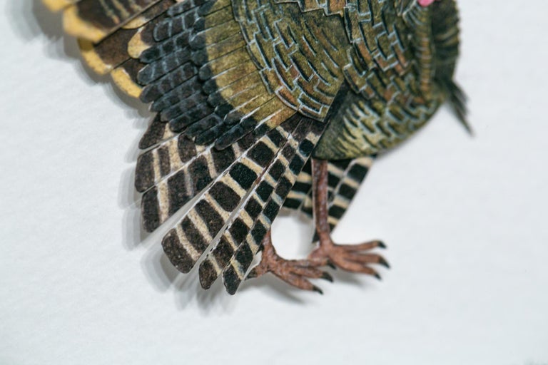 'Wild Turkey' is an original watercolor and layered hand-cut paper artwork by Nayan and Vaishali measuring 8”h x 8”w framed .

Vaishali is an illustrator and her partner Nayan is a furniture and interior designer. Together they make hand painted