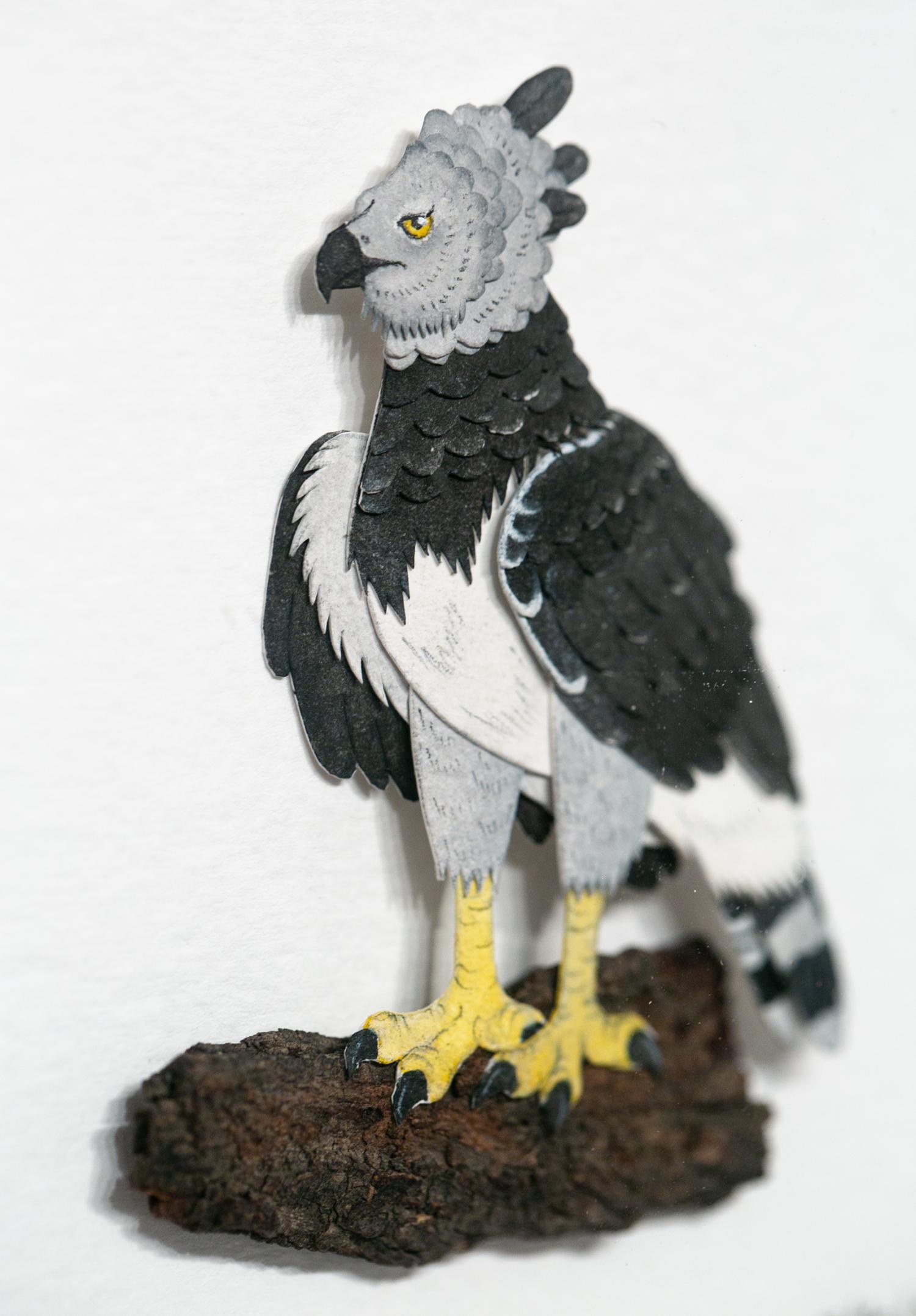 harpy eagle sculpture