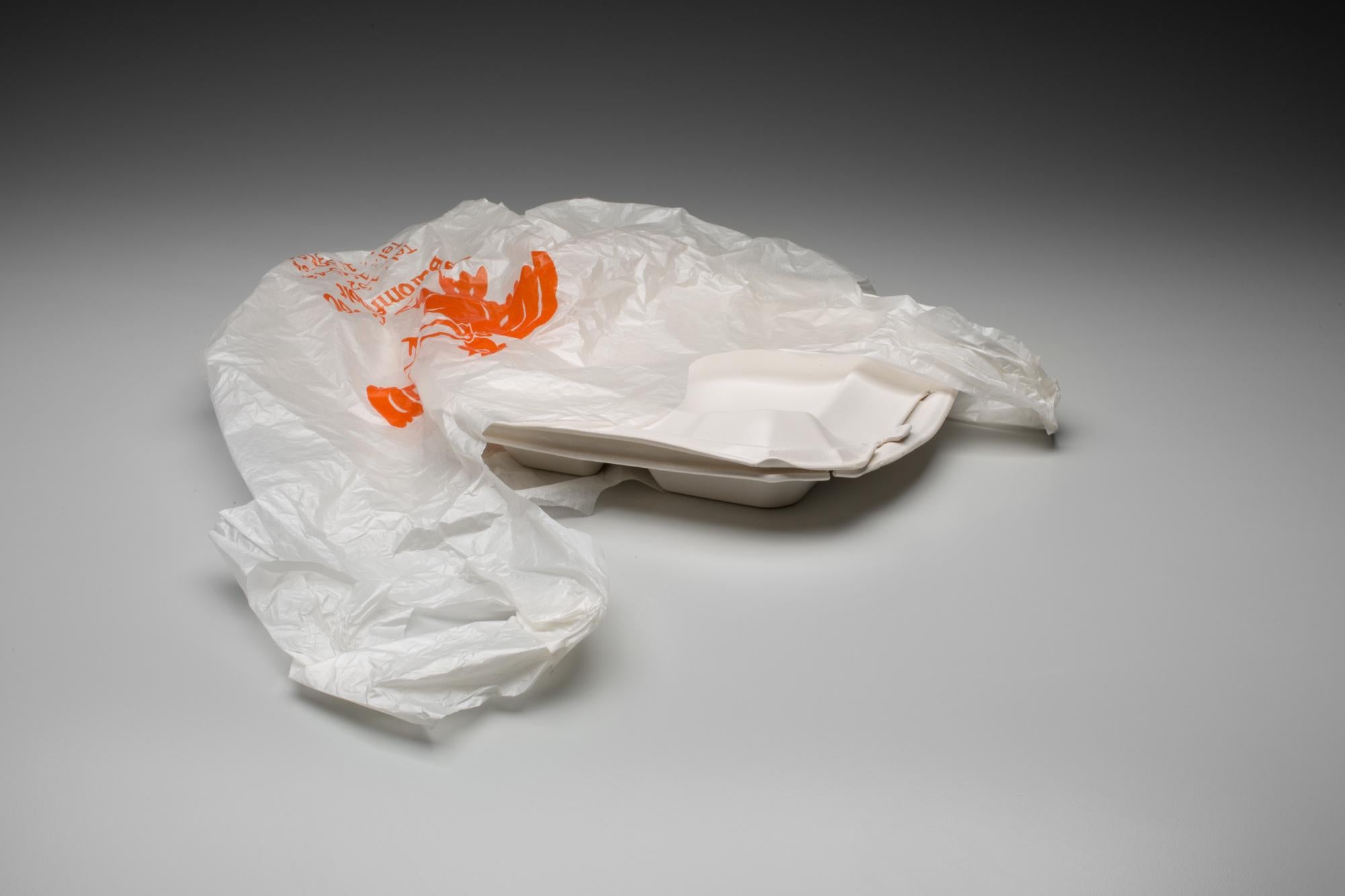 Yoonmi Nam Still-Life Sculpture - Take Out (Csirke-Fogo)