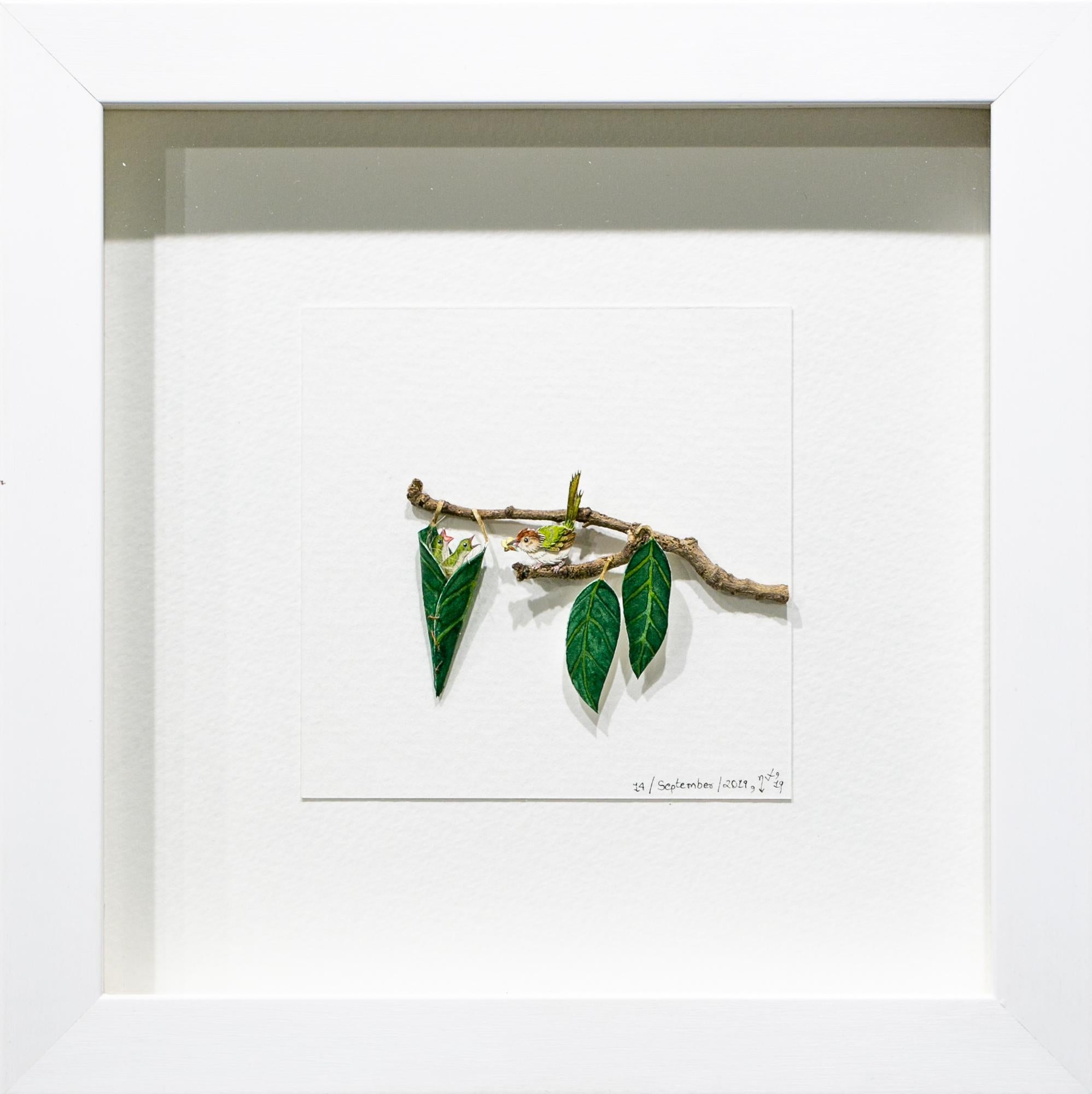 Tailor bird is smaller than sparrow picture