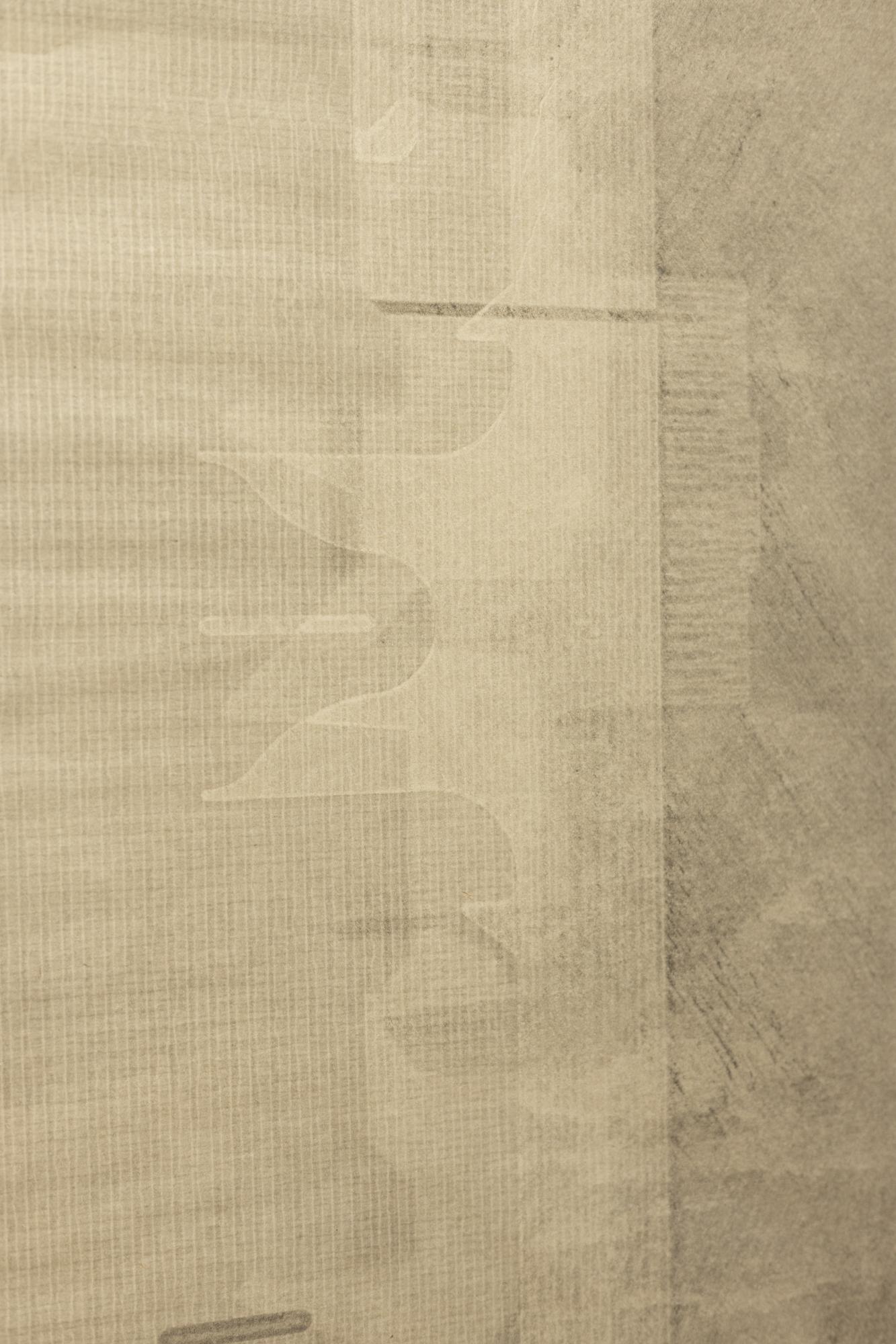 « Unfolding #3 », monotype imprimé sous pression de boîtes à emballage non pliées sur papier en vente 2