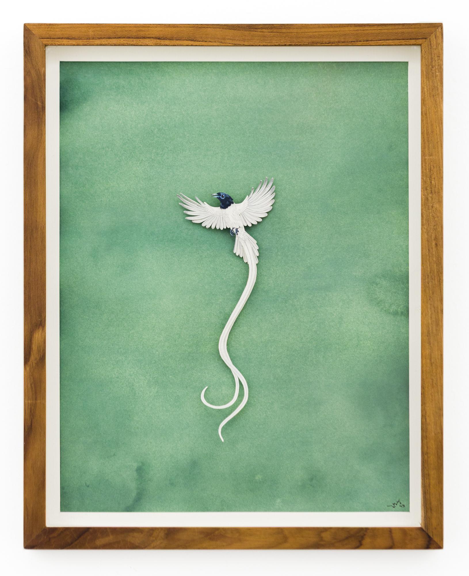 Nayan and Venus Animal Art - "Indian Paradise Flycatcher" Delicate Miniature Bird in Watercolor Layered Paper
