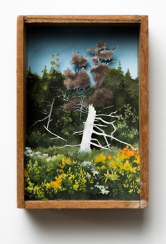 „Elder, September“, handgeschnittenes Papier-Landschaftsdiorama mit antiker Schachtel mit weißem Baum