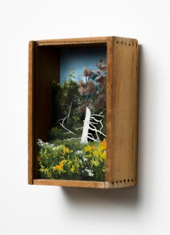 „Elder, September“, handgeschnittenes Papier-Landschaftsdiorama mit antiker Schachtel mit weißem Baum