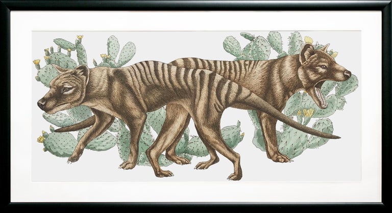 Thylacines with Prickly Pear Cacti For Sale 2