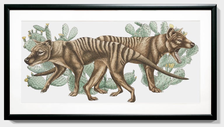 Thylacines with Prickly Pear Cacti For Sale 3