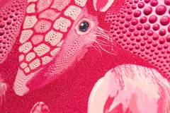 Pink Fairy Armadillo