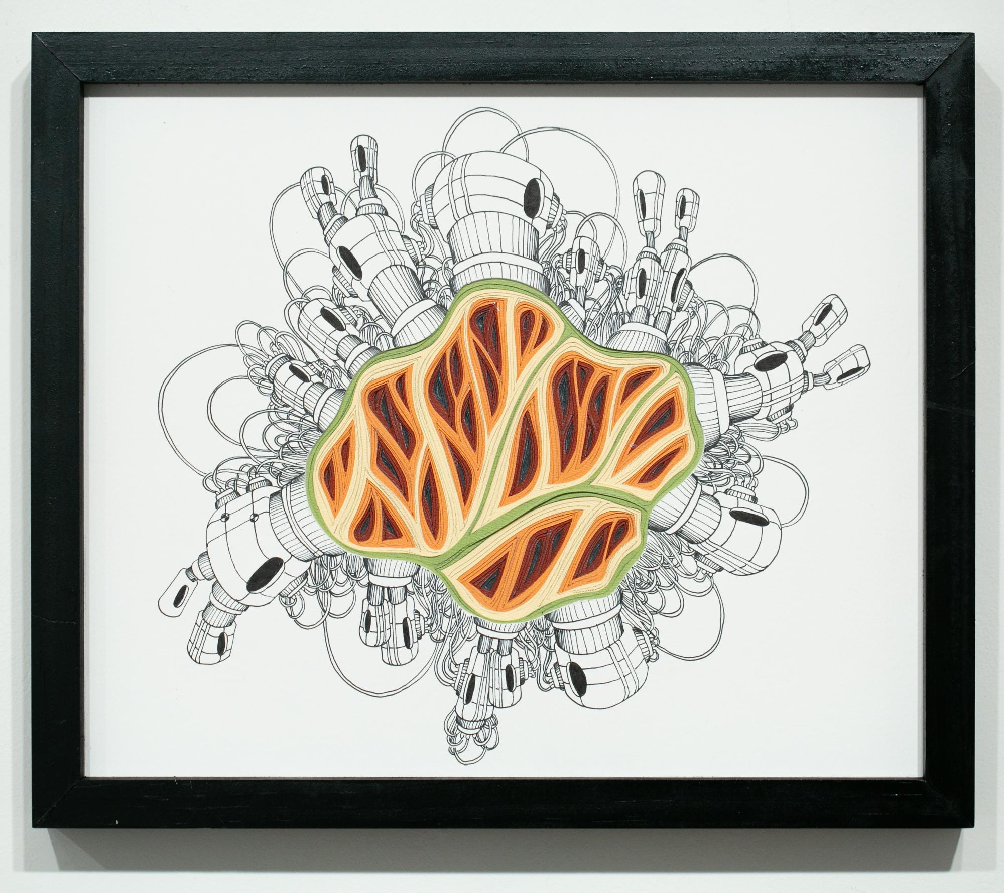 Movimento di flebotomia Double Diddle #11