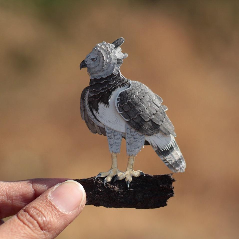 Harpy Eagle - Contemporary Sculpture by Nayan and Venus