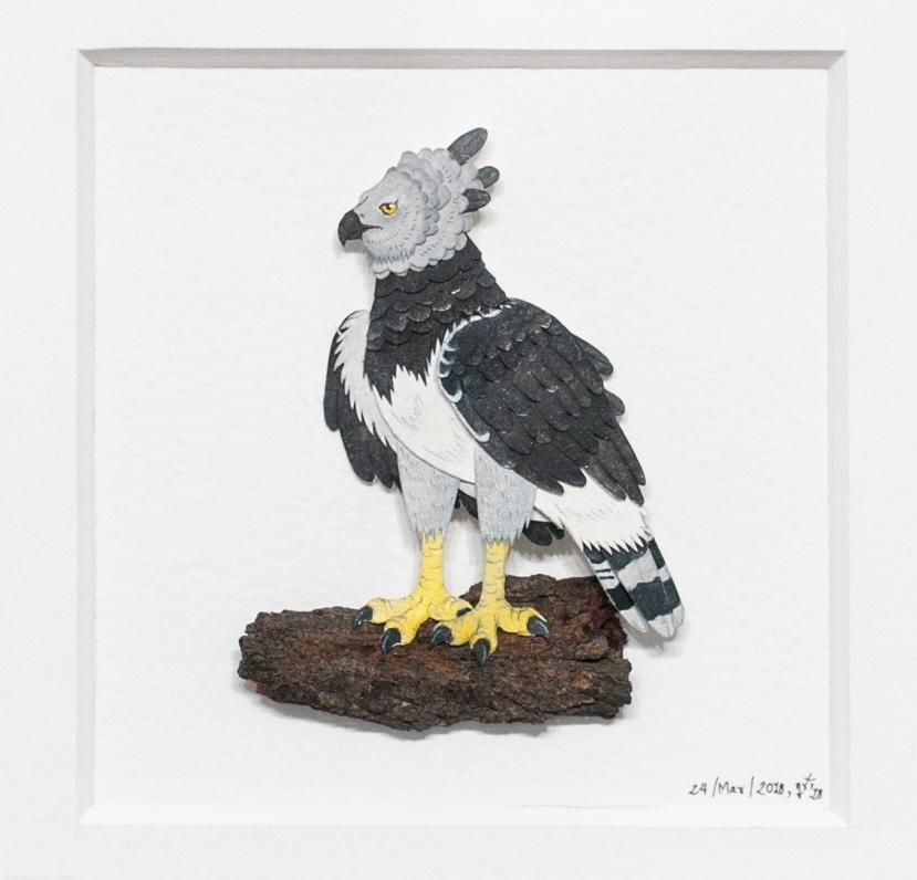 Arpy Eagle (aigle de mer) en vente 2