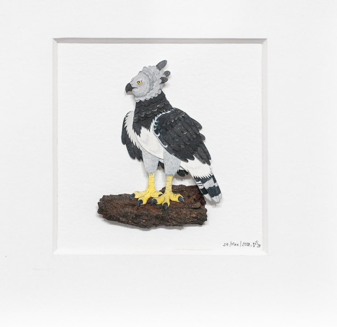 Arpy Eagle (aigle de mer) en vente 3