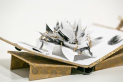 "Golden Lotus Feet", Pop-Up Book, Figurative, Sculpture, Paper